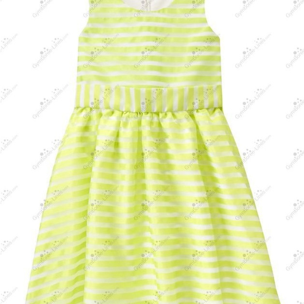 Gymboree Organdy Striped Dress Stripe Dress